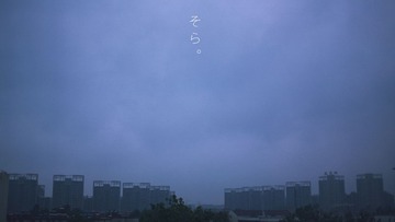 307X0029.jpg