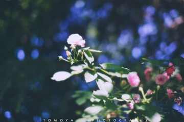 307X0103.jpg