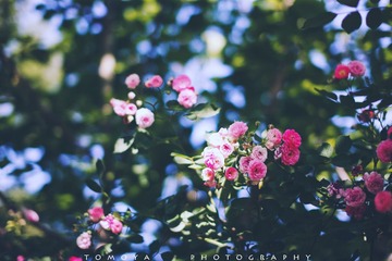 307X0104.jpg