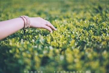 307X0735.jpg
