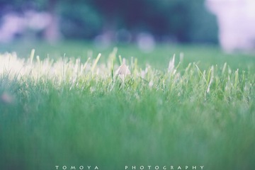 307X0832.jpg