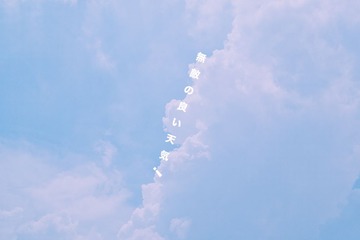 307X0877.jpg