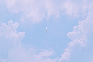 307X0880.jpg