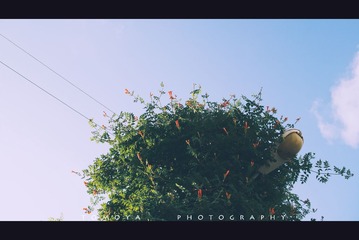 307X1458.jpg