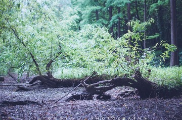 307X1559.jpg
