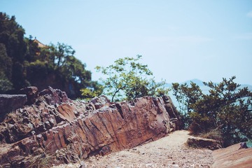 307X1627.jpg