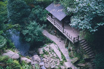 307X1718.jpg