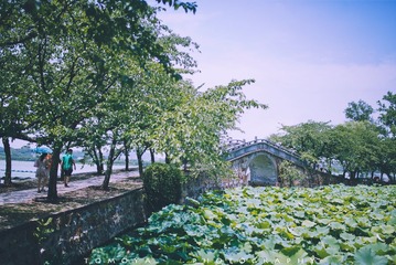 307X1603.jpg