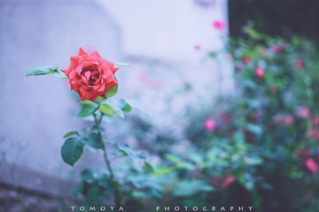307X0630