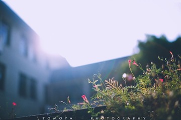 307X2274