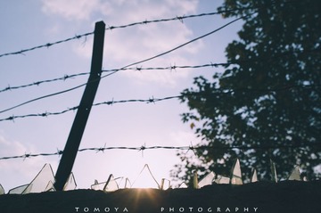 307X2294
