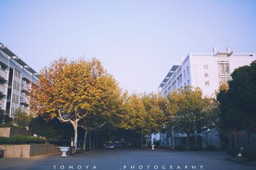 307X2718