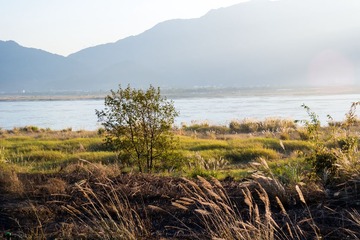 SAM_0702