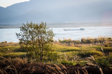 SAM_0704