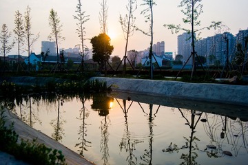 SAM_0415