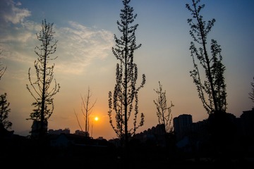 SAM_0419