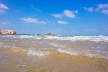 SAM_0472