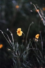 E49408A5-2A57-41F3-AE0E-06B27FA5222F/L0/001