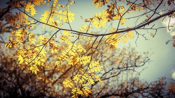 IMG_5911.jpg