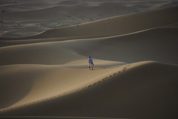 _IGP7680.JPG