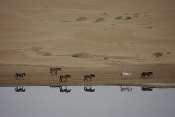 _IGP7364.JPG
