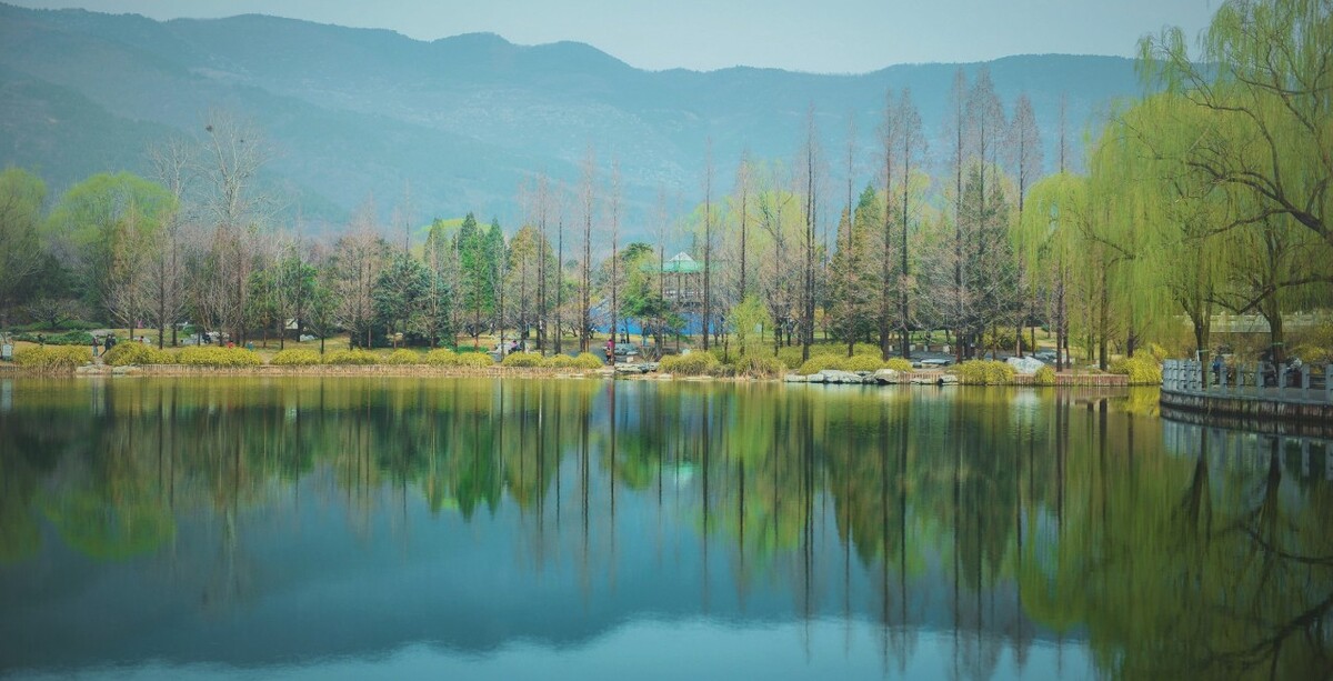 拍摄于北京植物园