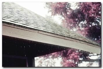 不知道图虫上能看见雨滴么...