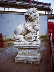 P1020203