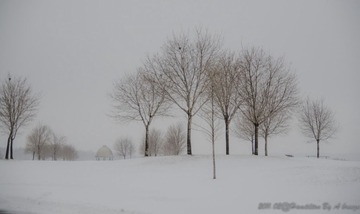 20110203-HCH_4922_01_01