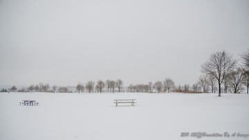 20110203-HCH_4923_01_01