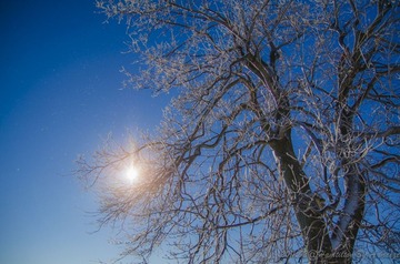 20110204-HCH_5137_01_01