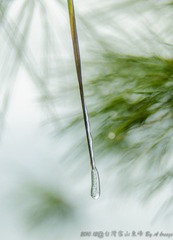 20101211-HCH_3350_01