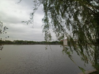 SAM_4558