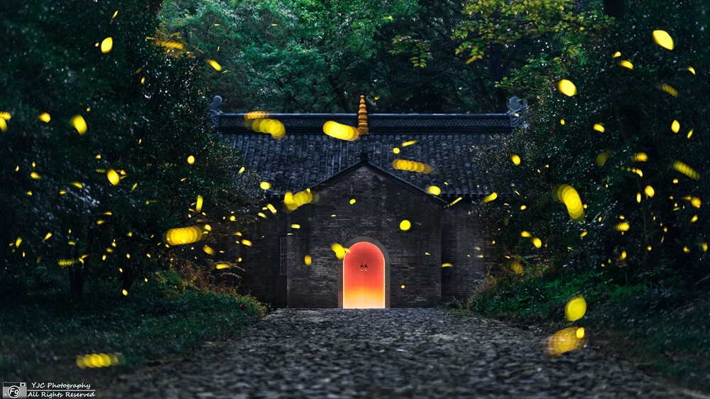 失落神殿的暗夜精灵，俗不可耐的证件照