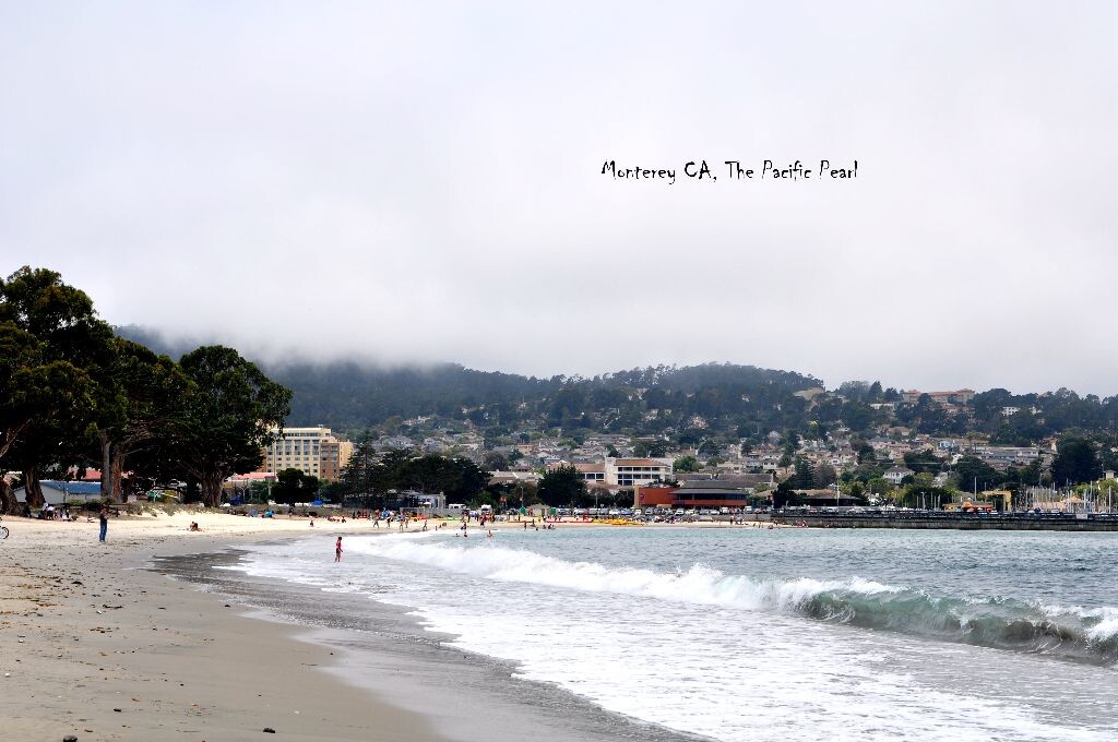 加州Monterey 市，太平洋岸边的美丽小城，面朝大洋，背靠一号公路上著名的17 mile dr, 有点阴沉的天气，却带来了一层厚厚的雾气，笼罩在小城上空，点缀得刚刚好