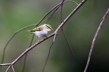 HXY_8656.jpg