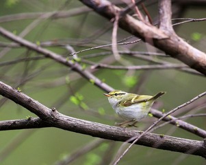 HXY_8649.jpg