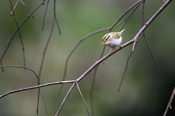 HXY_8651.jpg