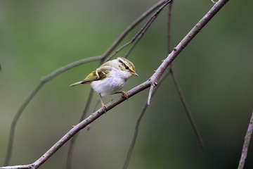 HXY_8652.jpg