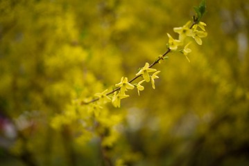 L1000417