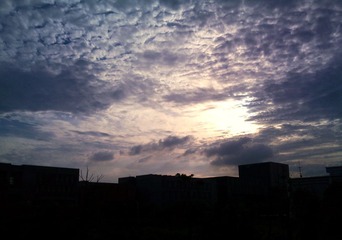 DSC_0315.jpg