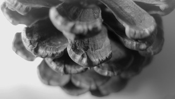 PB160923-2.jpg