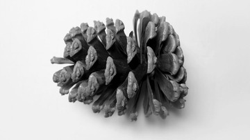 PB160928-2.jpg
