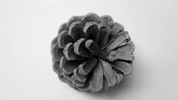 PB160927-2.jpg