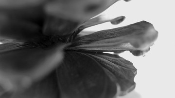 PB160929-2.jpg