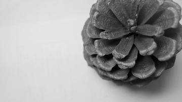 PB160935-2.jpg