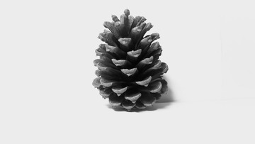 PB170942-2.jpg