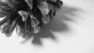 PB170943-2.jpg