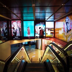P1061178-2.jpg