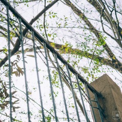 _IGP7484